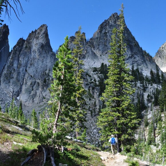 Meet your Posher - Picture 15 of 16